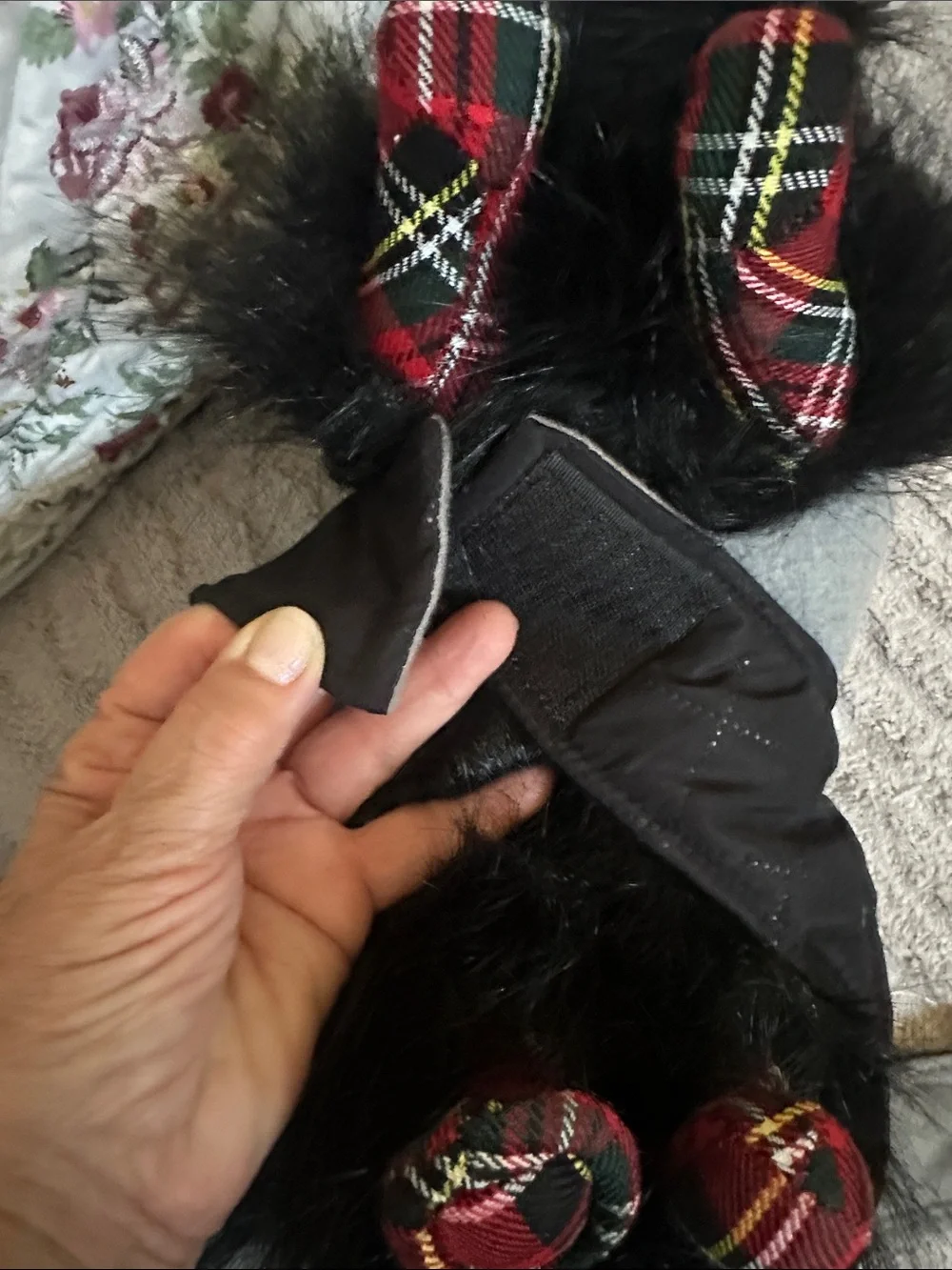 Dogs Quilted Black Hooded Jacket